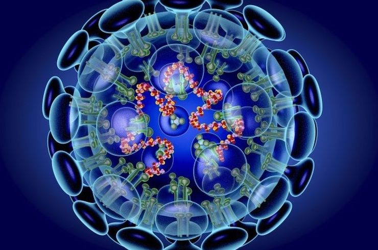 コロナウイルス