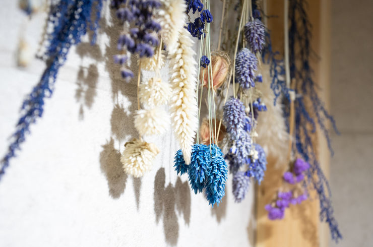 AEE9D226-B301-4CA4-94D7-A8A475A6CB72